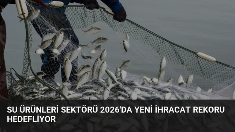 Su Ürünleri Sektörü 2026’da Yeni İhracat Rekoru Hedefliyor