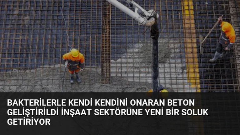 Bakterilerle Kendi Kendini Onaran Beton Geliştirildi İnşaat Sektörüne Yeni Bir Soluk Getiriyor