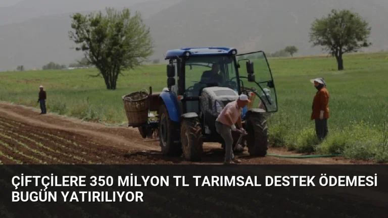 Çiftçilere 350 Milyon TL Tarımsal Destek Ödemesi Bugün Yatırılıyor