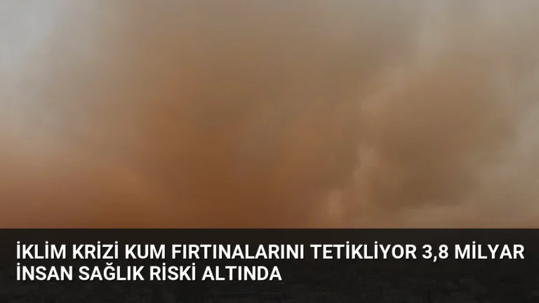 İklim Krizi Kum Fırtınalarını Tetikliyor 3,8 Milyar İnsan Sağlık Riski Altında