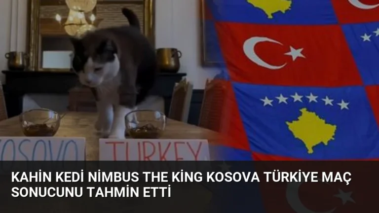 Kahin Kedi Nimbus The King Kosova Türkiye Maç Sonucunu Tahmin Etti