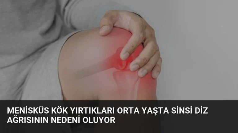 Menisküs Kök Yırtıkları Orta Yaşta Sinsi Diz Ağrısının Nedeni Oluyor