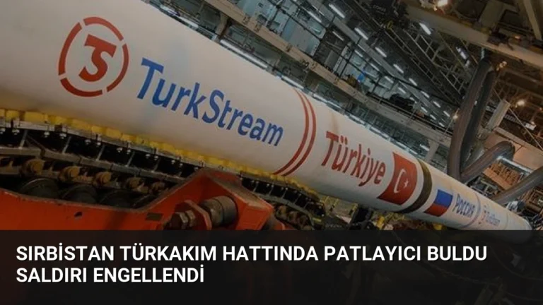 Sırbistan TürkAkım Hattında Patlayıcı Buldu Saldırı Engellendi