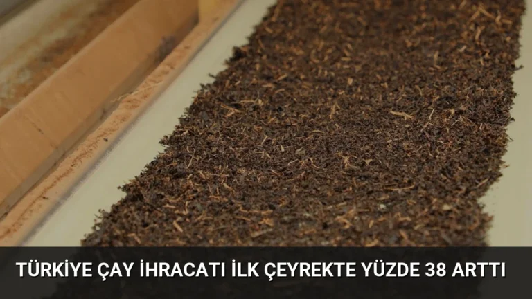 Türkiye Çay İhracatı İlk Çeyrekte Yüzde 38 Arttı
