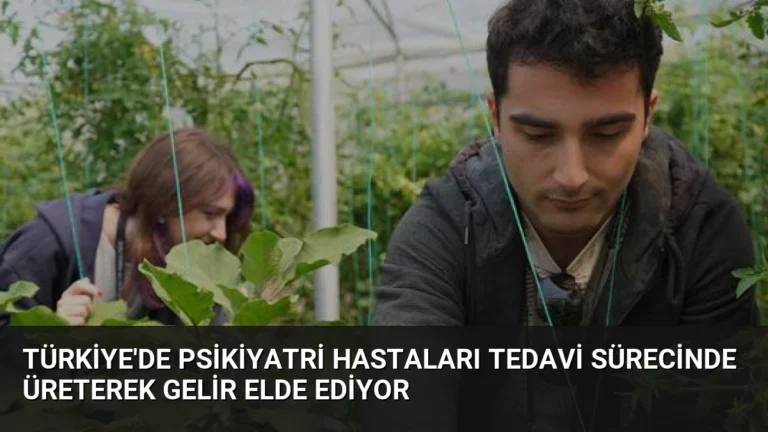Türkiye’de Psikiyatri Hastaları Tedavi Sürecinde Üreterek Gelir Elde Ediyor