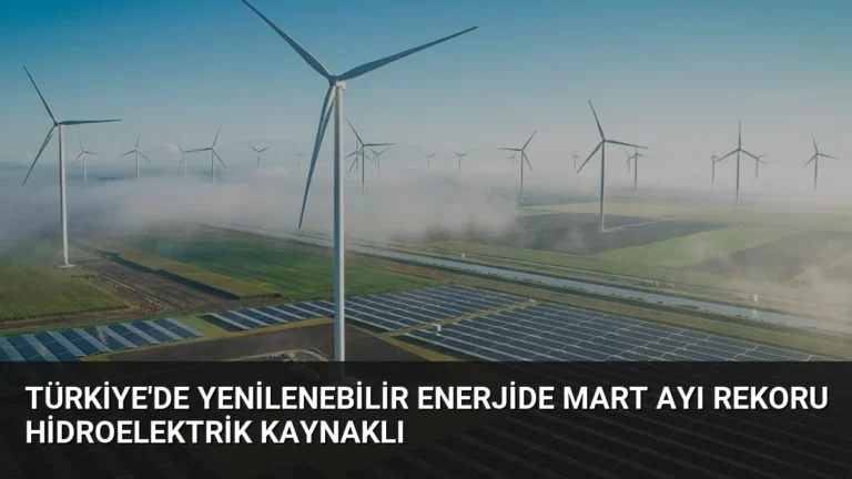 Türkiye’de Yenilenebilir Enerjide Mart Ayı Rekoru Hidroelektrik Kaynaklı