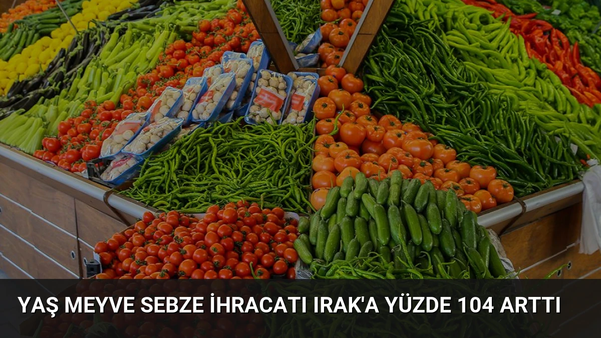 Yaş Meyve Sebze İhracatı Irak’a Yüzde 104 Arttı