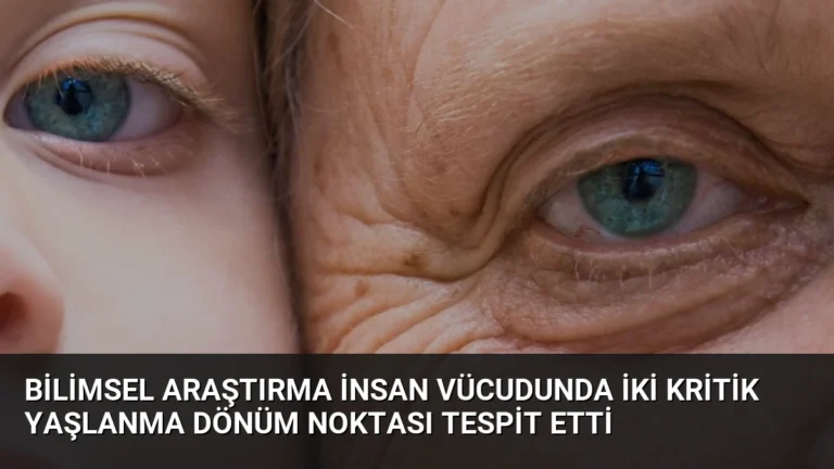 Bilimsel Araştırma İnsan Vücudunda İki Kritik Yaşlanma Dönüm Noktası Tespit Etti