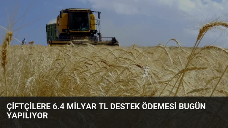 Çiftçilere 6.4 Milyar TL Destek Ödemesi Bugün Yapılıyor