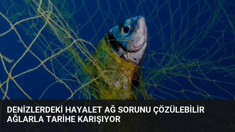 Denizlerdeki Hayalet Ağ Sorunu Çözülebilir Ağlarla Tarihe Karışıyor