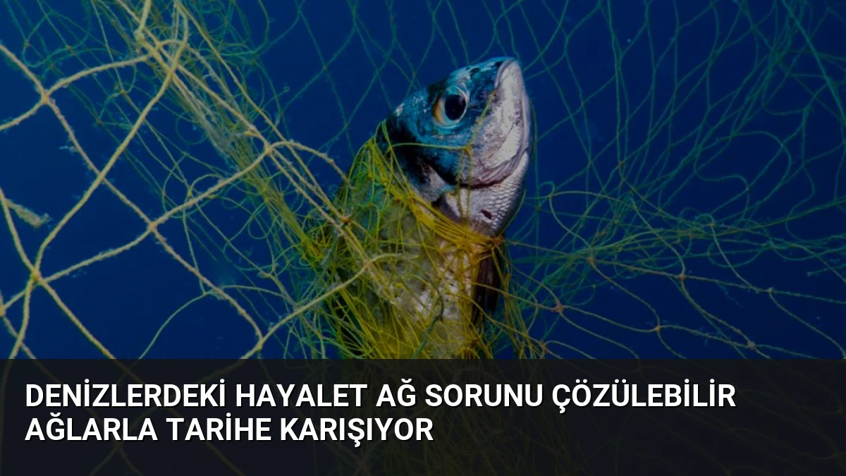 Denizlerdeki Hayalet Ağ Sorunu Çözülebilir Ağlarla Tarihe Karışıyor