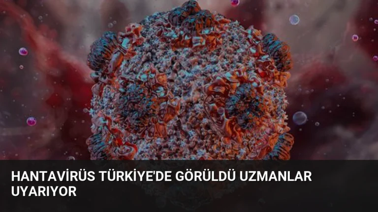 Hantavirüs Türkiye’de Görüldü Uzmanlar Uyarıyor