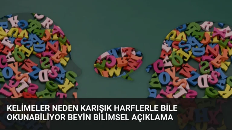 Kelimeler Neden Karışık Harflerle Bile Okunabiliyor Beyin Bilimsel Açıklama