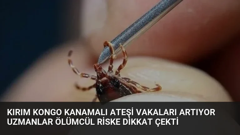 Kırım Kongo Kanamalı Ateşi Vakaları Artıyor Uzmanlar Ölümcül Riske Dikkat Çekti