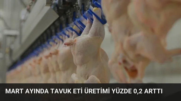 Mart Ayında Tavuk Eti Üretimi Yüzde 0,2 Arttı