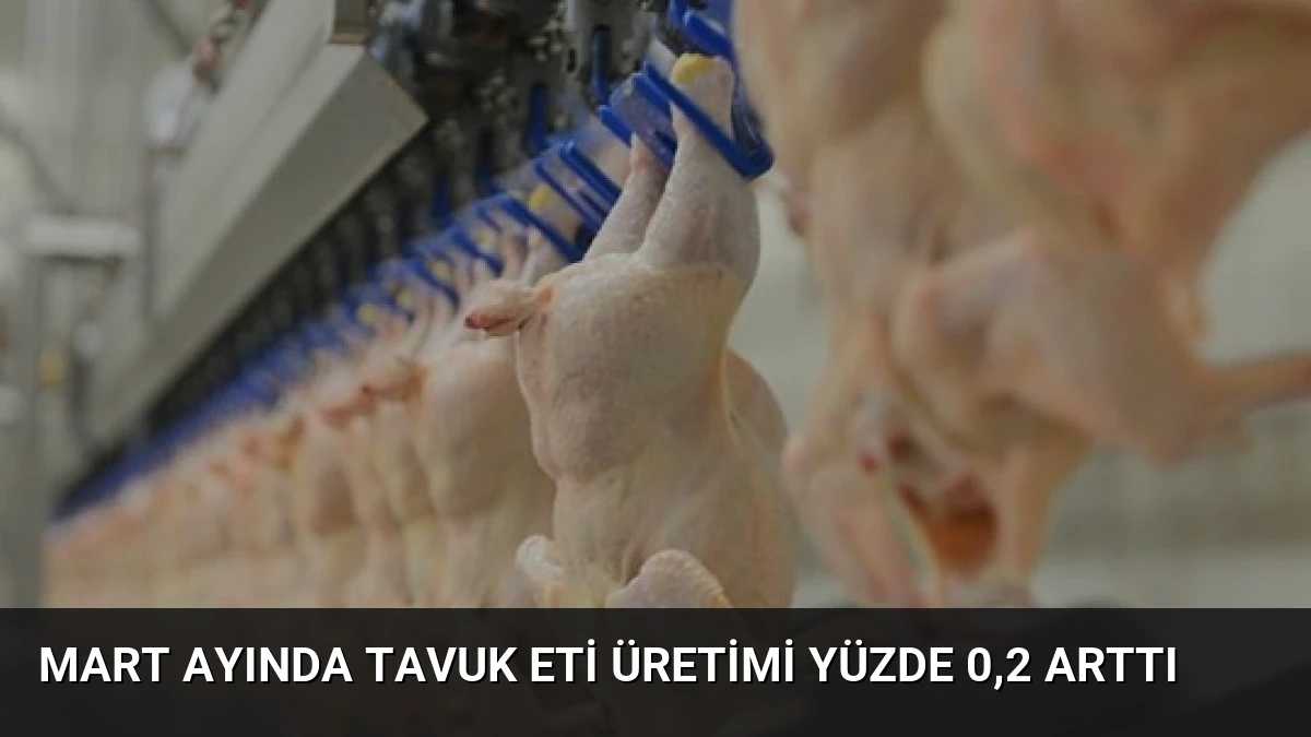 Mart Ayında Tavuk Eti Üretimi Yüzde 0,2 Arttı