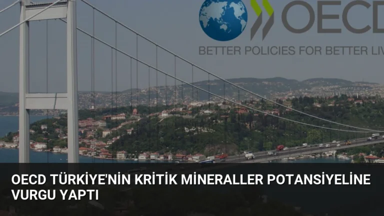 OECD Türkiye’nin Kritik Mineraller Potansiyeline Vurgu Yaptı