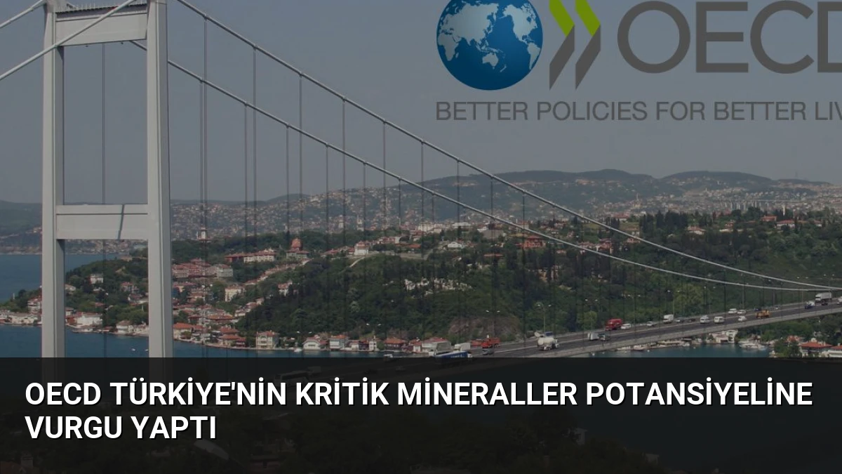 OECD Türkiye’nin Kritik Mineraller Potansiyeline Vurgu Yaptı