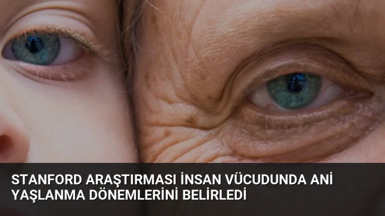 Stanford Araştırması İnsan Vücudunda Ani Yaşlanma Dönemlerini Belirledi
