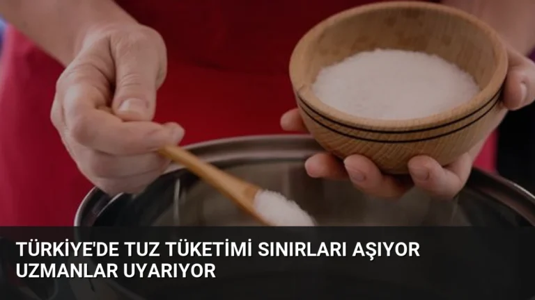 Türkiye’de Tuz Tüketimi Sınırları Aşıyor Uzmanlar Uyarıyor