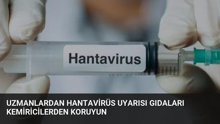 Uzmanlardan Hantavirüs Uyarısı Gıdaları Kemiricilerden Koruyun