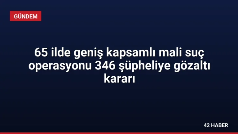 65 ilde geniş kapsamlı mali suç operasyonu 346 şüpheliye gözaltı kararı