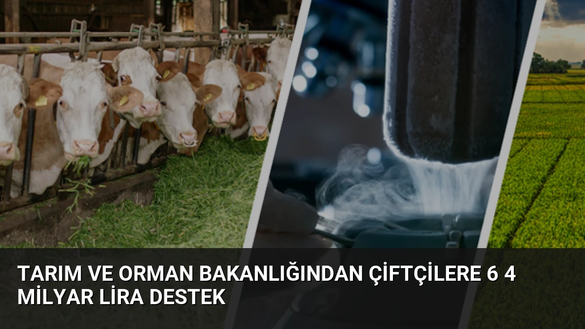 Tarım ve Orman Bakanlığından Çiftçilere 6 4 Milyar Lira Destek