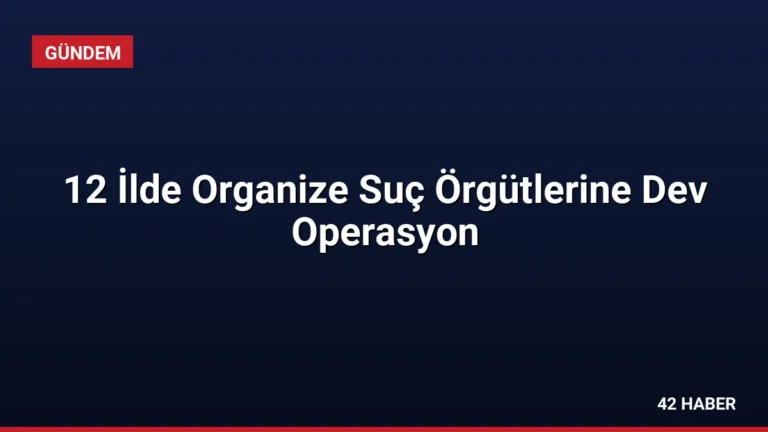 12 İlde Organize Suç Örgütlerine Dev Operasyon