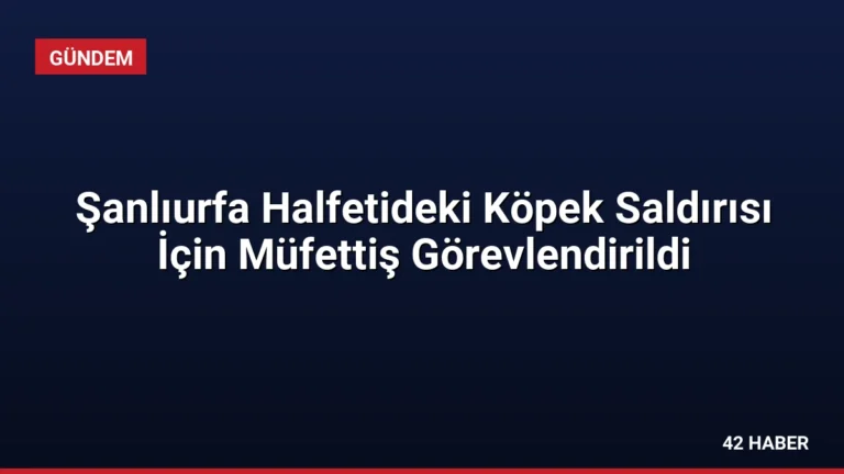 Şanlıurfa Halfetideki Köpek Saldırısı İçin Müfettiş Görevlendirildi