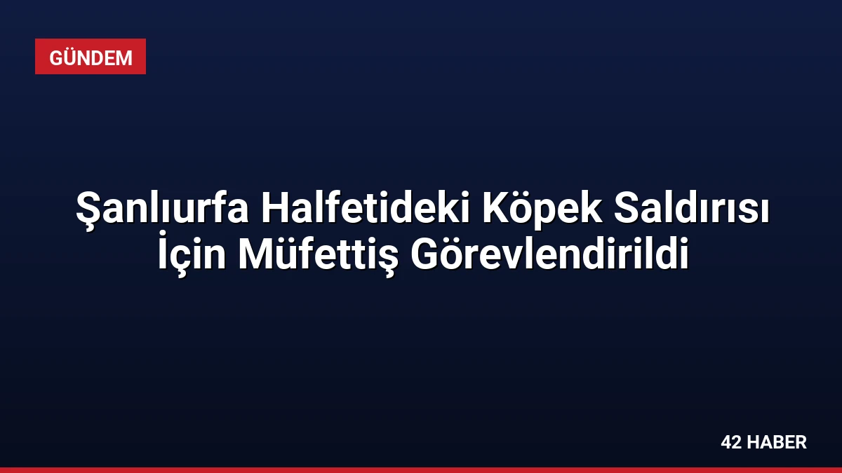 Şanlıurfa Halfetideki Köpek Saldırısı İçin Müfettiş Görevlendirildi
