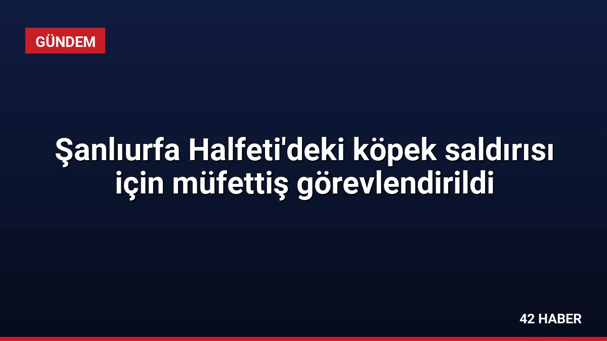Şanlıurfa Halfeti’deki köpek saldırısı için müfettiş görevlendirildi