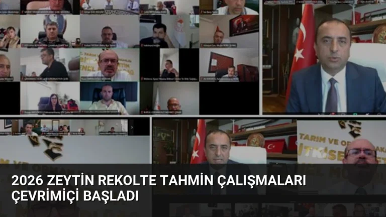 2026 Zeytin Rekolte Tahmin Çalışmaları Çevrimiçi Başladı