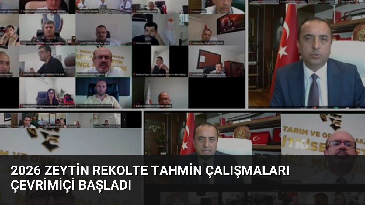 2026 Zeytin Rekolte Tahmin Çalışmaları Çevrimiçi Başladı