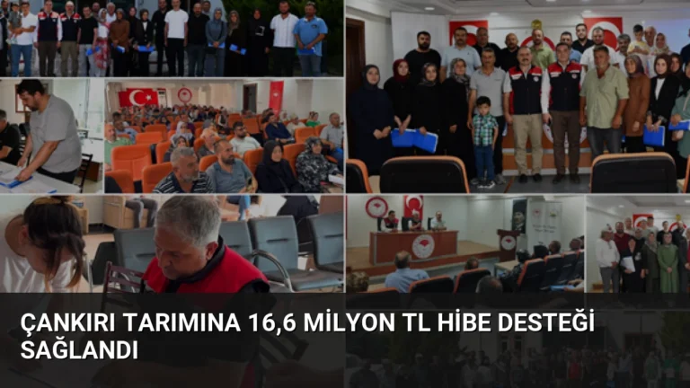 Çankırı tarımına 16,6 milyon TL hibe desteği sağlandı