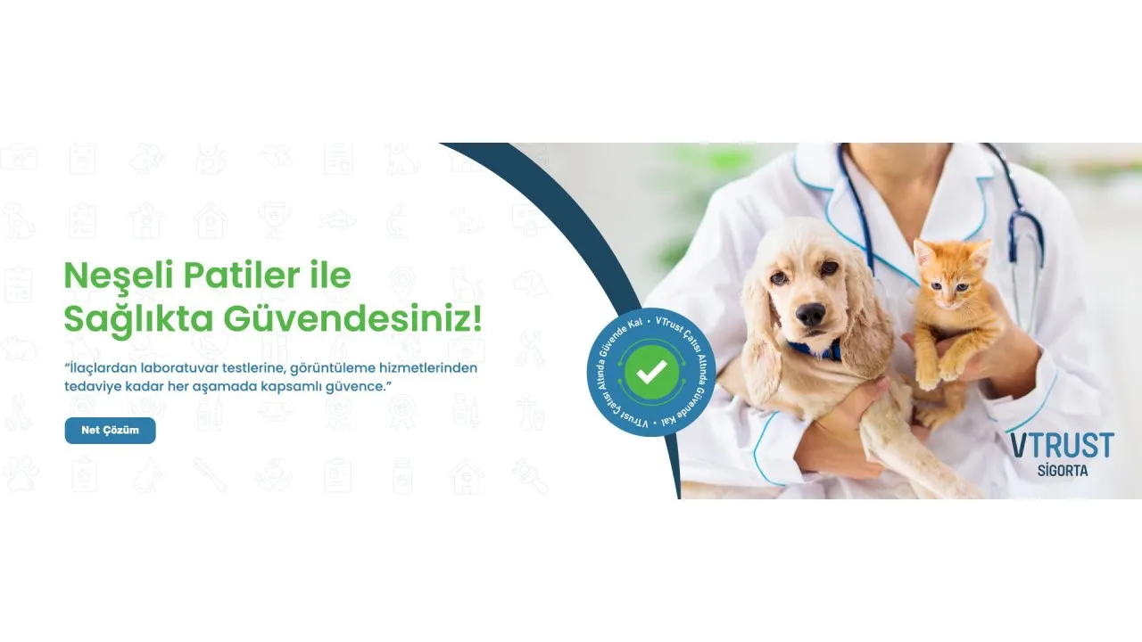 Evcil Hayvan Sigortası Fiyatları Ve Ödeme Seçenekleri