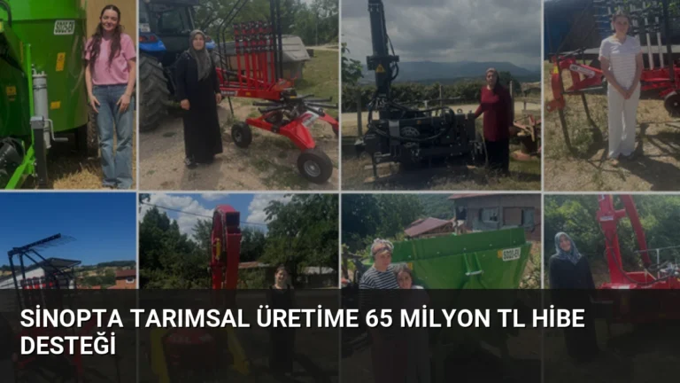 Sinopta Tarımsal Üretime 65 Milyon TL Hibe Desteği