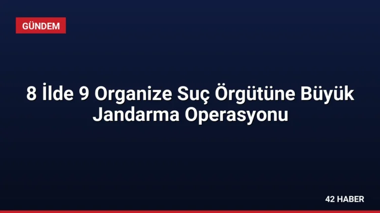 8 İlde 9 Organize Suç Örgütüne Büyük Jandarma Operasyonu