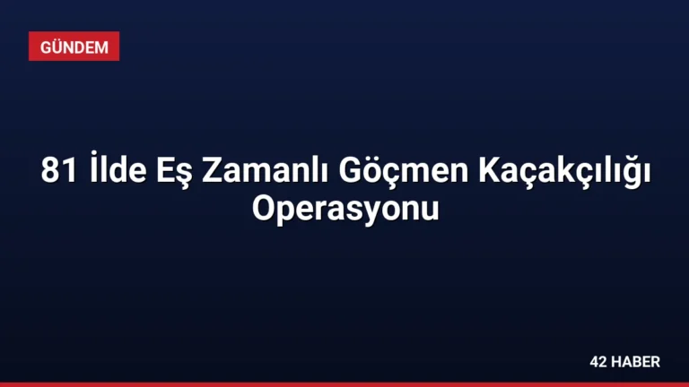 81 İlde Eş Zamanlı Göçmen Kaçakçılığı Operasyonu
