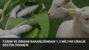 Tarım ve Orman Bakanlığından 1.3 Milyar Liralık Destek Ödemesi